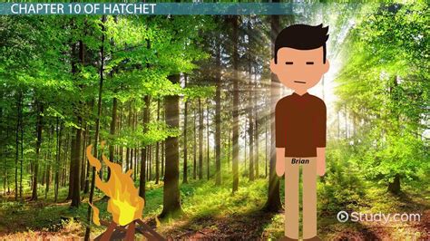 Summary Of Hatchet Chapter 10