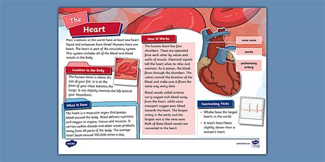 Summary Of Heart Of A Samurai