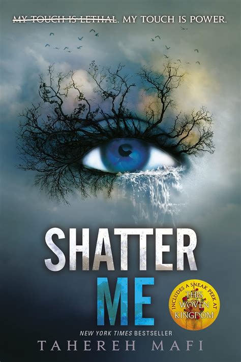 Summary Of Shatter Me