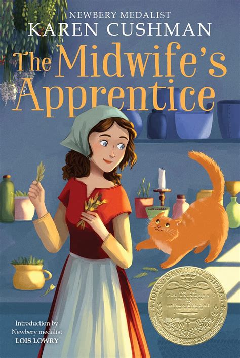 Summary Of The Midwifes Apprentice