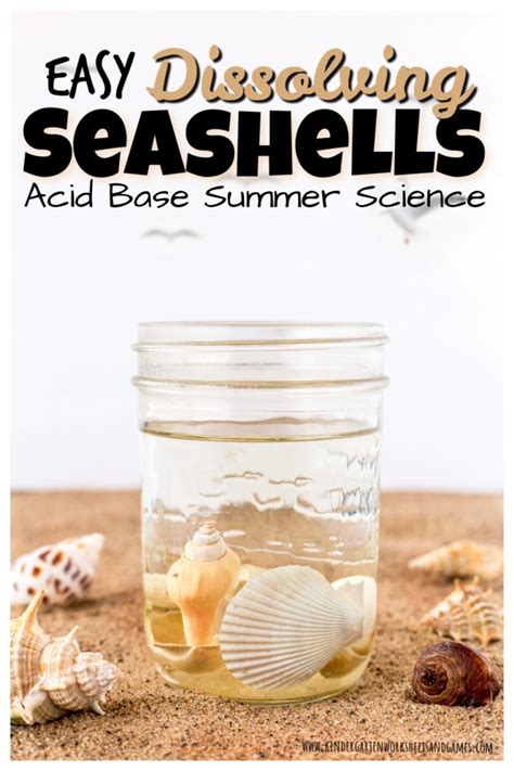 Summer Activities Disolving Seashell Science Experiment Seashell Worksheet Grade 1 - Seashell Worksheet Grade 1