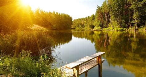 Summer By The River