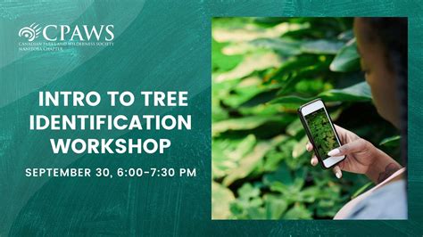 Summer Tree Id Workshop Land Trust Of North Tree Identification Worksheet - Tree Identification Worksheet
