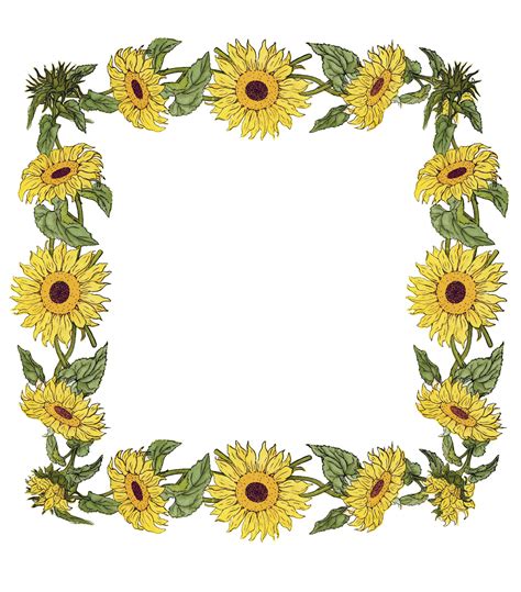 Sunflower Borders And Frames