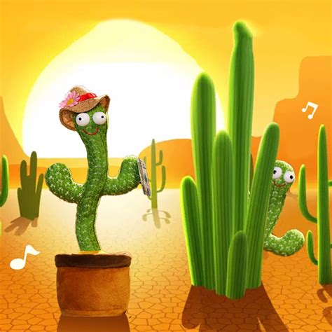 sunnythecactus