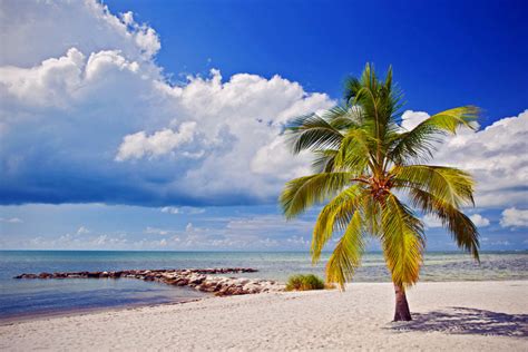 sunshine florida