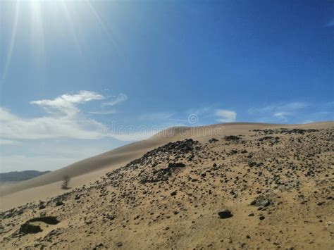 nature photo by Nathanial Reilly