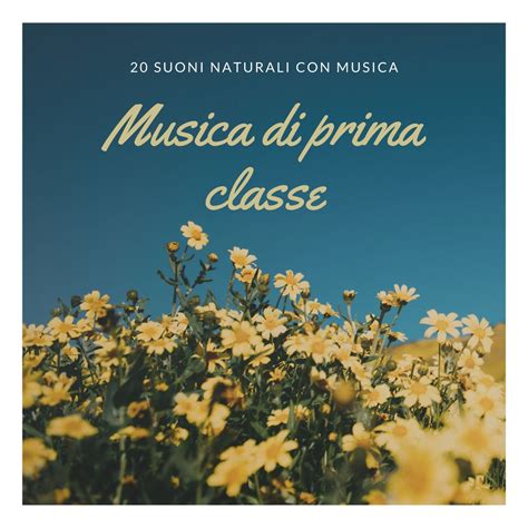 Suoni Di Danza Con Cd Audio