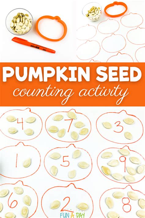Super Simple Pumpkin Seed Counting Activity Fun A Pumpkin Math For Preschoolers - Pumpkin Math For Preschoolers