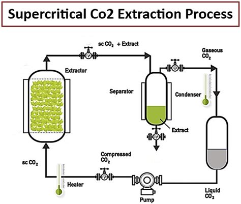 Supercritical Fluid Extraction