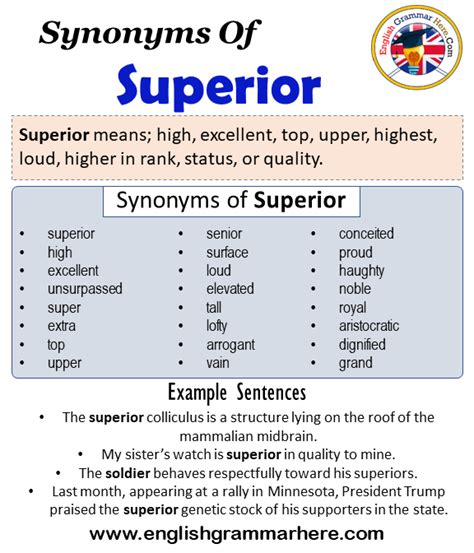 Superior Synonym