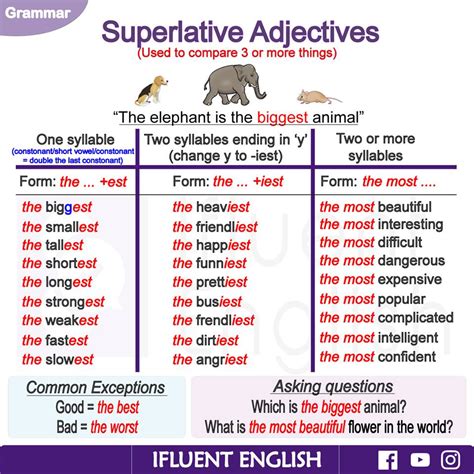 Superlatives All Things Grammar Superlative Adjectives Worksheet - Superlative Adjectives Worksheet