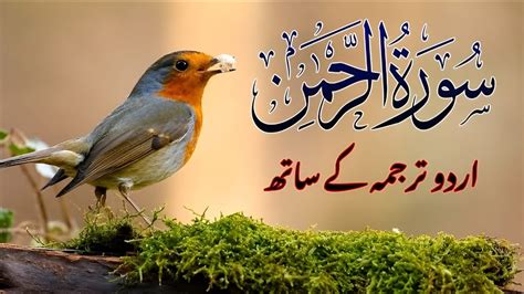 Surah Rahman Abdul Basit