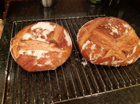 surdegsbröd  anvisning vetesurdeg