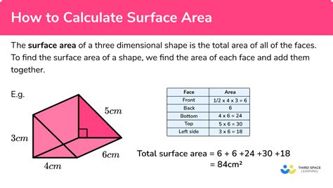Surface Area Calculator Surface Area In Science - Surface Area In Science
