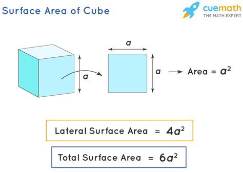 Surface Area Formula Meaning Examples Cuemath Surface Area In Science - Surface Area In Science