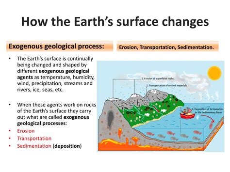 Surface Processes