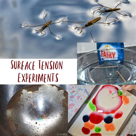  Surface Tension Science Experiment - Surface Tension Science Experiment