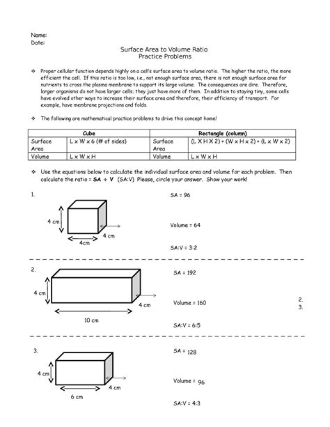 Full Download Surface Area To Volume Ratio Practice Problems 