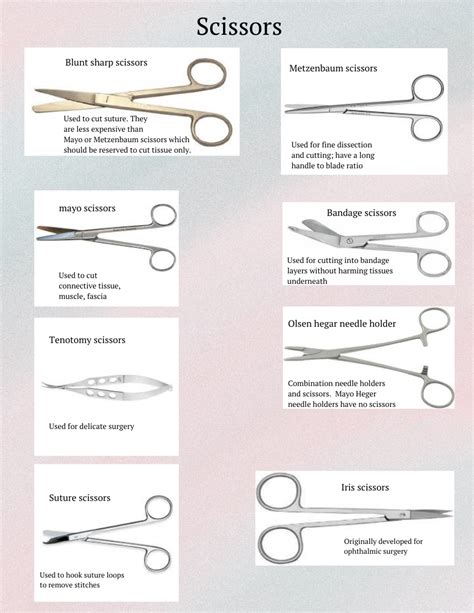 Download Surgical Tech Instruments Study Guide 