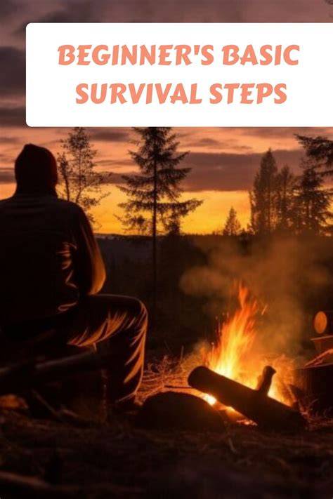 survival for beginners a step by step guide to cam