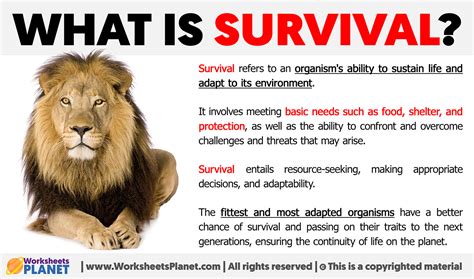 survive meaning