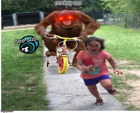 Sus Monkey Meme