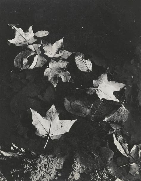 nature photo by Dina Aufderhar