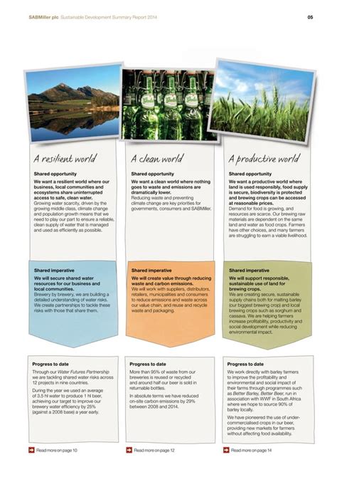 sustainable development summary