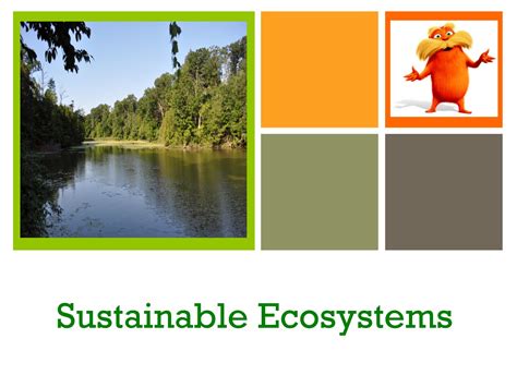 Download Sustainable Ecosystems Unit 1 And Human Activity 