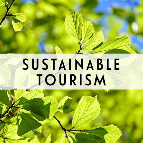 Full Download Sustainable Tourism Environmental Protection And Natural 
