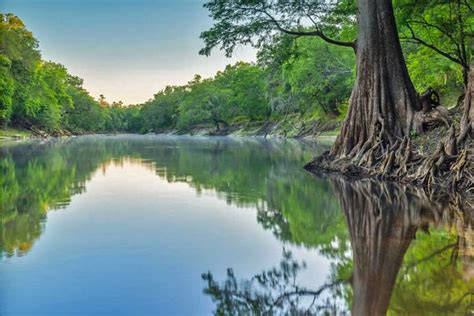 suwannee florida