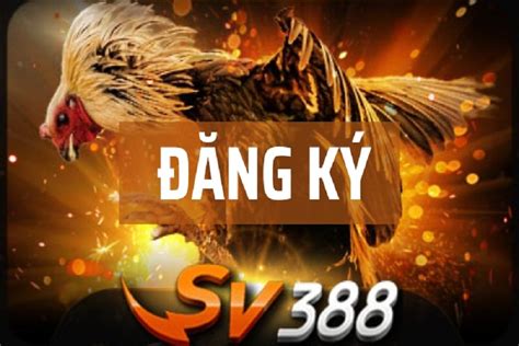 SV3888 - Hướng dẫn tham gia cá cược tại SV388