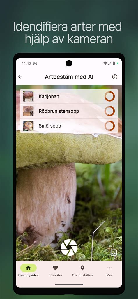svampguiden