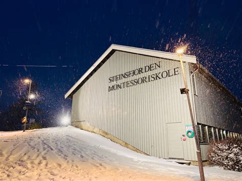 svenska skolan i danmark