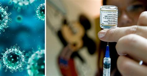 svininfluensa tillbaka