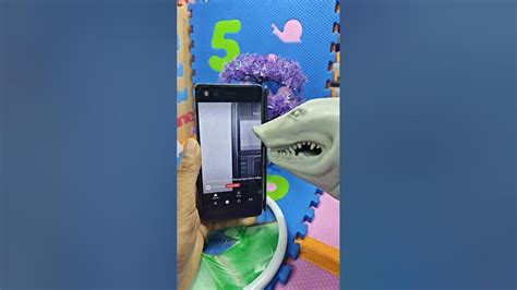 bet7k: Como Apostar nas Apostas Desportivas Online com Garantia de Segurança e Proteção - Foto 2