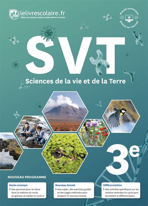 svt 3e