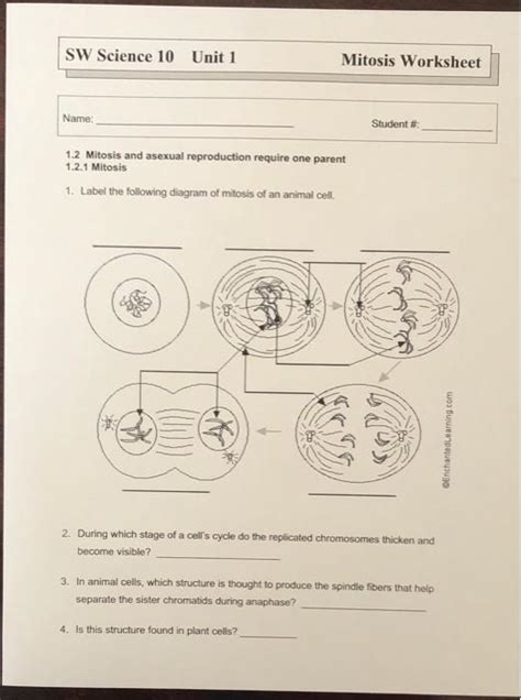 Sw Science 10 Unit 1 Mitosis Worksheet