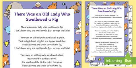 Swallowed A Fly Song