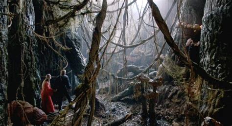 Swamp In Princess Bride