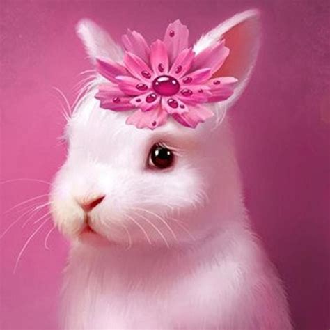 Sweet bunny pov