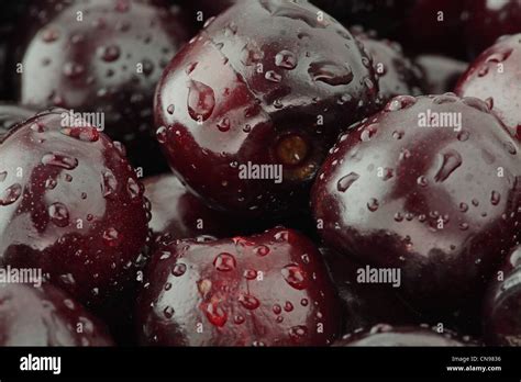 sweet black cherries