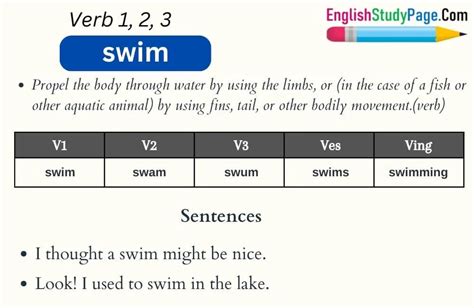 Swim En Pasado Simple