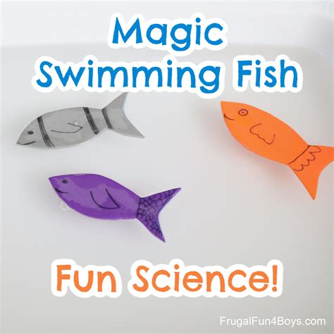 Swimming One Fish Two Fish Experiment Happy Toddler Fish Science Activities For Preschoolers - Fish Science Activities For Preschoolers