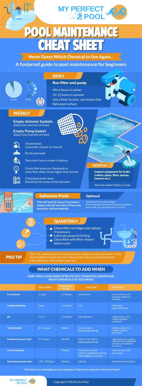 Swimming Pool Cleaning Maintenance Description Pdf