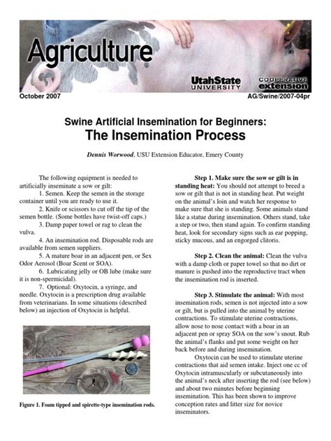 Read Online Swine Artificial Insemination For Beginners The 