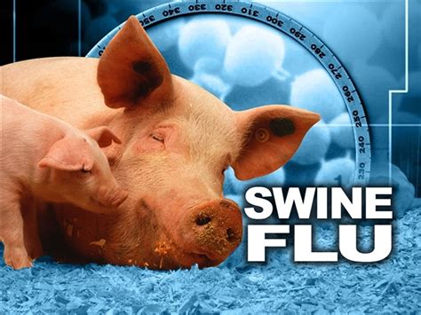 Download Swine Flu From Containment To Treatment 