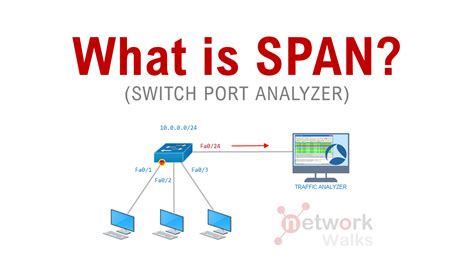 Switched Port Analyzer