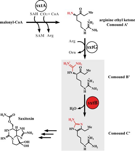 sxtg | XSTG Kt qu X s Tin Giang